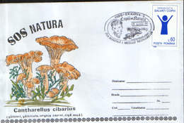 Romania - Env.Occasionally 1995 -    World Environment Day - "S.O.S." Nature And Childrens, Yellow Mushrooms - Protection De L'environnement & Climat