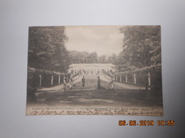 ENGHIEN - PARC DU DUC D' ARENBERG - L' AVENUE DE L' ORANGERIE - Edingen