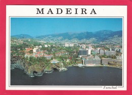 Modern Post Card Of Funchal,Madeira,Portugal,L55. - Madeira