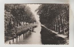 CPSM SALLELES D'AUDE (Aude) - Le Canal Du Midi - Salleles D'Aude