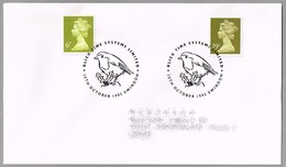 ROBIN - PETIRROJO. Erithacus Rubecula. Swindon 1995 - Mechanical Postmarks (Advertisement)