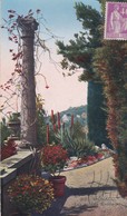 Type PAIX 40 C Lilas NON Oblitéré  S/cpa MONACO Les Jardins Exotiques "La Côte D'Azur : Au Pays Des Fleurs " - 1932-39 Frieden