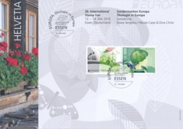 Z251 Mit Auslandpoststempel - Internationl Stamp Fair ESSEN - Covers & Documents