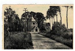 Meulebeke Kapel O.L.Vrouw Van Bijstand - Meulebeke