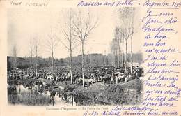 Pont Chrétien         36        La Foire Du Pont  Foire Aux Chevaux    (voir Scan) - Sonstige & Ohne Zuordnung