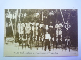 GP 2019 - 1487  " Les ECHASSIERS De LUCBARDEZ "  Landes   XXX - Other & Unclassified