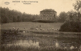 NATOYE - Le Parc Au Bord Du Lac / Vijverpark.. Couvent Et Juvénat Des Pères Passionistes. - Hamois