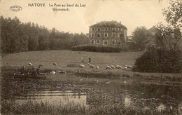 NATOYE - Le Parc Au Bord Du Lac / Vijverpark.. Couvent Et Juvénat Des Pères Passionistes. - Hamois