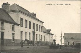 Wihéries - La Ferme Chevalier - Dour