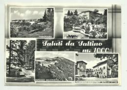 SALUTI DA SALTINO -   VIAGGIATA FG - Firenze (Florence)