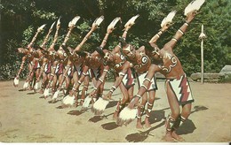 4133 "CHEROKEE EAGLE DANCE" CARTOLINA POSTALE ORIGINALE NON SPEDITA - Andere & Zonder Classificatie