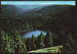 Der Wildsee Im Nordschwarzwald  -  Ansichtskarte Ca. 1975    (10873) - Baiersbronn