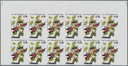 Aitutaki: 1973/1990 (ca.), Duplicated Accumulation In Large Box With Mostly IMPERFORATE Single Stamp - Aitutaki