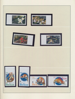 Belize: 2001/2004. A Small Collection With 12 Different Mint, Nh, Imperforate Stamps. For Specialist - Belize (1973-...)