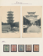 China - Lokalausgaben / Local Post: 1893/97 (ca.), Amoy-Wuhu, Mint And Used Collection In Hingeless - Autres & Non Classés