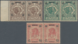 Italienisch-Somaliland: 1926, BENADIR Elephant And Lion Head Provisionals Three Stamps In Different - Somalia