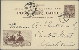 Neuseeland - Ganzsachen: 1876/1940 (ca.), Duplicated Accumulation With Approx. 1.000 Mostly QV Posta - Enteros Postales