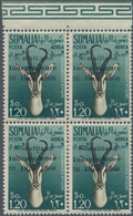 Somalia: 1960, Ital. Somaliland 1.20s. ‚Gazelle (Gazella Soemmeringi)‘ With Black Three-line Opt. ‚S - Somalie (1960-...)