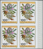 Übersee: 1970/1989 (ca.), Accumulation With About 15.000 (!) IMPERFORATE Stamps From Aitutaki, Burun - Autres & Non Classés