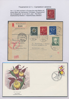 Thematik: Flora, Botanik / Flora, Botany, Bloom: 1940/2015 (ca.), Mint And Used Collection/accumulat - Altri & Non Classificati