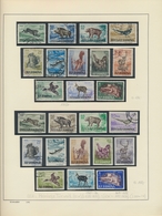 Thematik: Tiere, Fauna / Animals, Fauna: 1900/1990 (ca.), Sophisticated Collection/accumulation Of T - Altri & Non Classificati