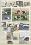 Thematik: Tiere, Fauna / Animals, Fauna: 1920/2000 (ca.), Comprehensive An Wide-spread Mainly MNH Co - Altri & Non Classificati