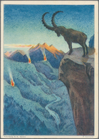 Thematik: Tiere, Fauna / Animals, Fauna: 1940/2000 (ca.), CHAMOIS/IBEX, Collection Of Apprx. 175 Cov - Autres & Non Classés