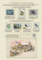 Thematik: Tiere-Vögel / Animals-birds: 1864/2000 (ca.), BIRD WATCHING, Thematic Collection On 65 Wri - Altri & Non Classificati