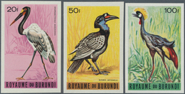 Thematik: Tiere-Vögel / Animals-birds: 1965, BURUNDI: Birds Complete IMPERFORATE Set Of 15 In A Lot - Other & Unclassified