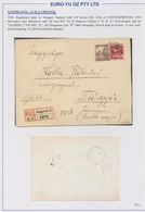 Jugoslawien: 1918/1920, Assortment Of 16 Better Entires, Comprising Parcel Despatch Forms, Interesti - Lettres & Documents