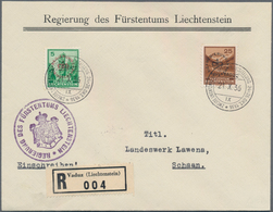 Liechtenstein - Dienstmarken: 1921/45 13 Belege Der Dienstpost Meist Der Regierung Incl. Einem Brief - Dienstzegels