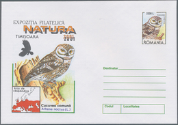 Rumänien - Ganzsachen: 2001 Ca. 660 Unused Postal Stationery Cards And Envelopes, Mostly With Specia - Interi Postali