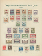 Ungarn - Besetzte Gebiete: Arad: 1919/1921, Mainly Mint Collection Of Apprx. 300 Stamps On Borek Alb - Sonstige & Ohne Zuordnung