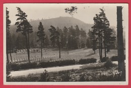 Wettstein ( Haut-Rhin , Alsace ) - Le Cimetière Des Chasseurs à Pied ( Voir Verso ) - War Cemeteries