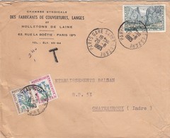 LETTRE . 1965. 0,50Fr TAXE 0,40  FLEUR /  2 - 1960-.... Cartas & Documentos