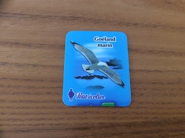 Magnet Petit écolier "Goéland Marin" (oiseau) - Magnets