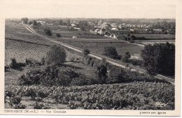 Thouarcé Belle Vue Du Village Vignes Vignobles Vin D'Anjou - Thouarce