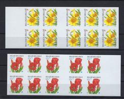 N°B39ND/B40ND (genummerd 665) MNH ** POSTFRIS ZONDER SCHARNIER COB € 200,00 SUPERBE - Autres & Non Classés