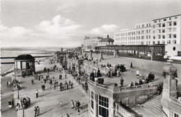 NORDSEEBAD BORKUM-PROMENADE-1955-REAL PHOTO - Borkum