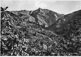 MERGOSCIA → Con Pizzo Vogorno, Fotokarte Ca.1955 - Vogorno