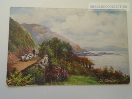D164151  At Aberdovey - Shepherd - Tuck's Post Card Cancel Petroseény  -Arad Hungary  1906 -  Oilette Postcard 6233 - Caernarvonshire