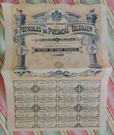 Société Française Des Pétroles De Prédéal-Téléajen (Roumanie) - Action De 100 Francs 1911 (275) - Petróleo