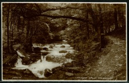 Ref 1299 - 1925 Real Photo Postcard - Torrent Walk Dolgelley Merionethshire Wales - Merionethshire