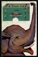 Ref 1299 - Super Early Novelty Postcard - Elephant - A Trunk Call From Windsor - Berkshire - Windsor