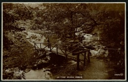 Ref 1300 - 1928 Real Photo Postcard - In The Glen Aber Llanfairfechan Caernarvonshire Wales - Caernarvonshire