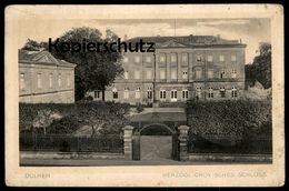 ALTE POSTKARTE DÜLMEN HERZOGLICHES CROY'SCHES SCHLOSS Herzog Croy Chateau Castle Ansichtskarte AK Cpa Postcard - Dülmen