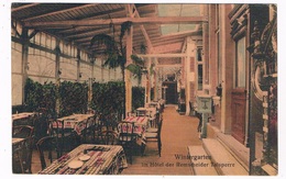 D-9496   REMSCHEIDER TALSPERRE : Wintergarten Im Hotel Der Remscheider Talsperre - Remscheid