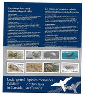 Plaquette "les Espèces Menacées Au Canada" -timbres Neufs -stamps - Collezioni