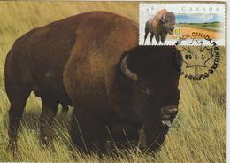 Canada Carte Maximum 1999 Bison 1644 - Cartoline Maximum