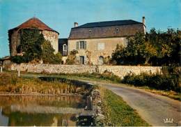 BUSSIERE POITEVINE - Le Château - Bussiere Poitevine